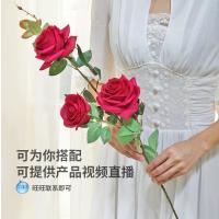 uploads/erp/collection/images/Home Garden/CongDing/XU0612514/img_b/XU0612514_img_b_5
